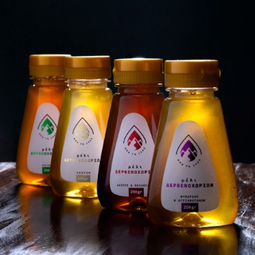 Mourikis Squeeze Forest Oak Honey 250g - Pure Natural Delight Mourikis Squeeze Forest Oak Honey 250g - Pure Natural Delight