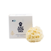 Close-up of a Kalyspongea natural sea sponge for babies showing its ultra-soft, organic honeycomb texture for sensitive newborn skin.