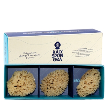 Kalyspongea Natuurlijke Gezichtssponsjes Set – Biologisch & Hypoallergeen | 3-delige set, duurzaam geoogst op Kalymnos, Griekenland, antibacteriële dieptereiniging voor de gevoelige huid
