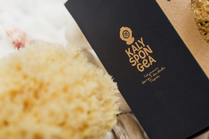 Afbeelding voor categorie Natuurlijke zeesponzen